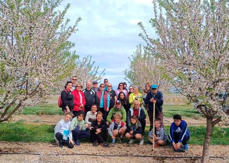 Imagen Andada popular para disfrutar de los almendros en flor