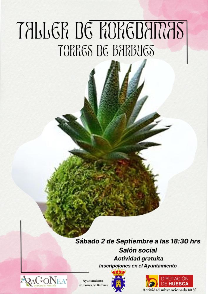 Imagen Taller de kokedamas en Torres de Barbués